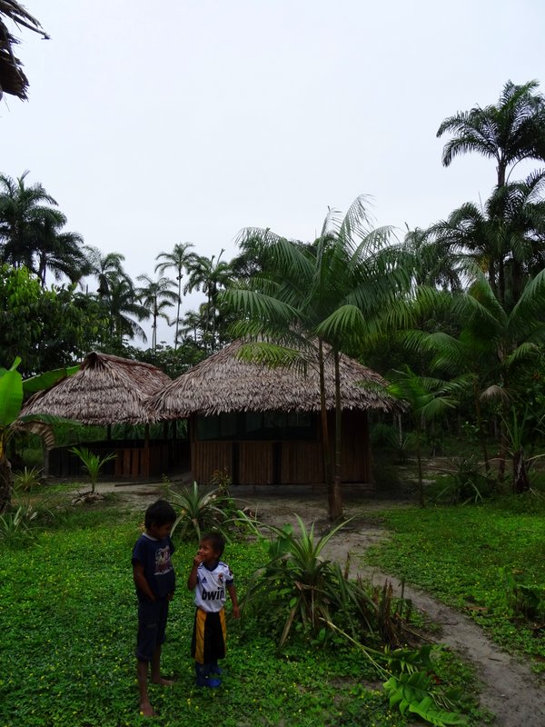 Huis Cornelio Amazone