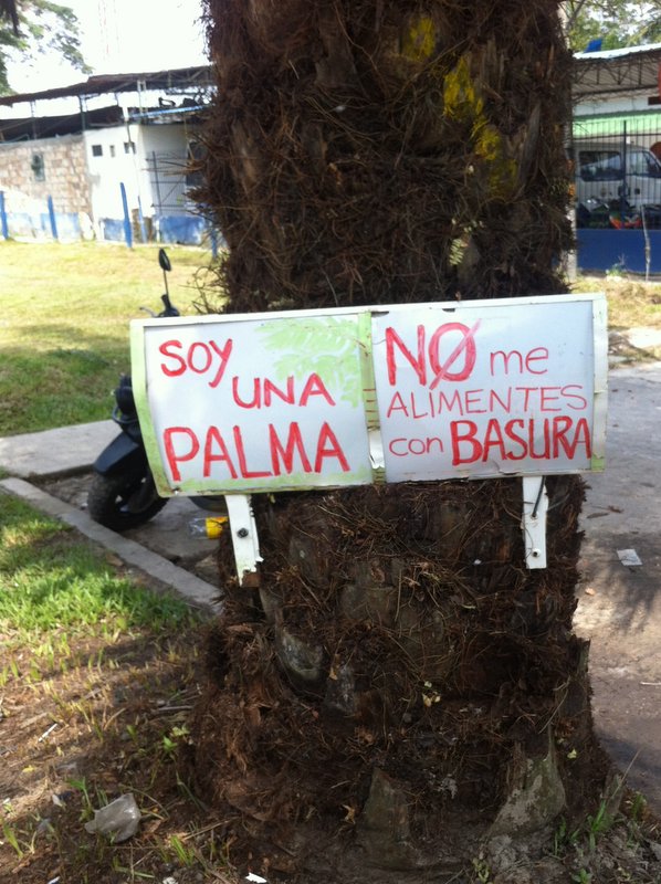 no basura