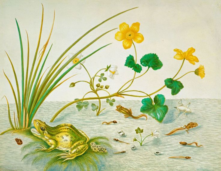 a4ff590d3fa2208d7e57b7648630a567