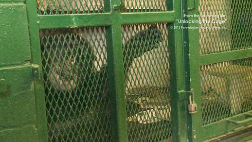 1450713_675598492485010_632870637_n