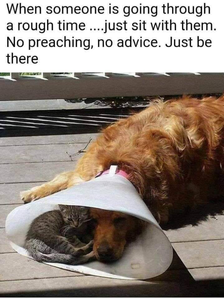 62033170_3223178077755028_6854788596352679936_n